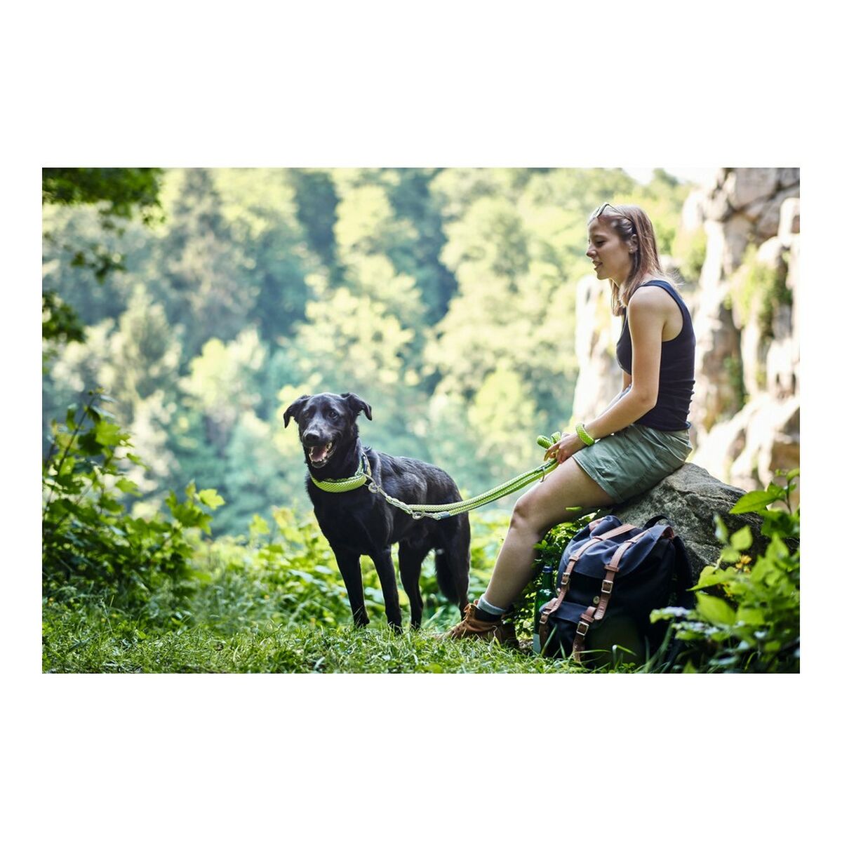 Pasji svinec Hunter HILO Rjava (200 cm)