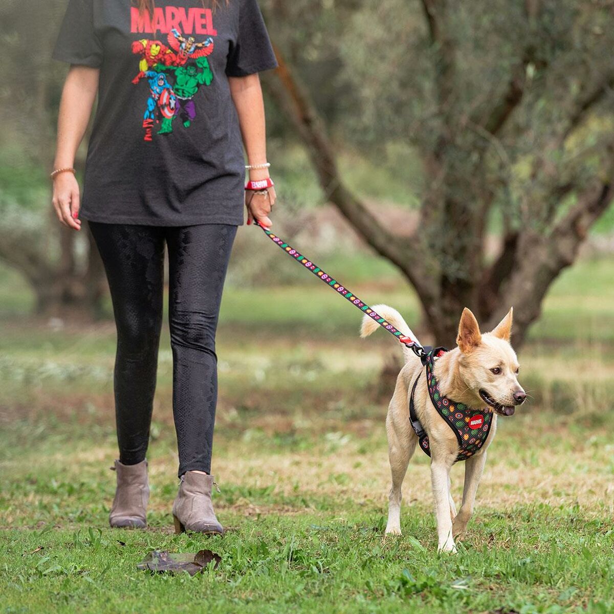 DoHundkoppel Marvel
