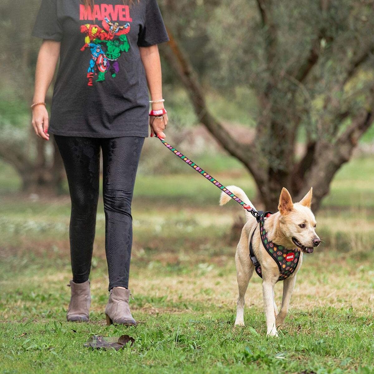 Trela para Cães Marvel