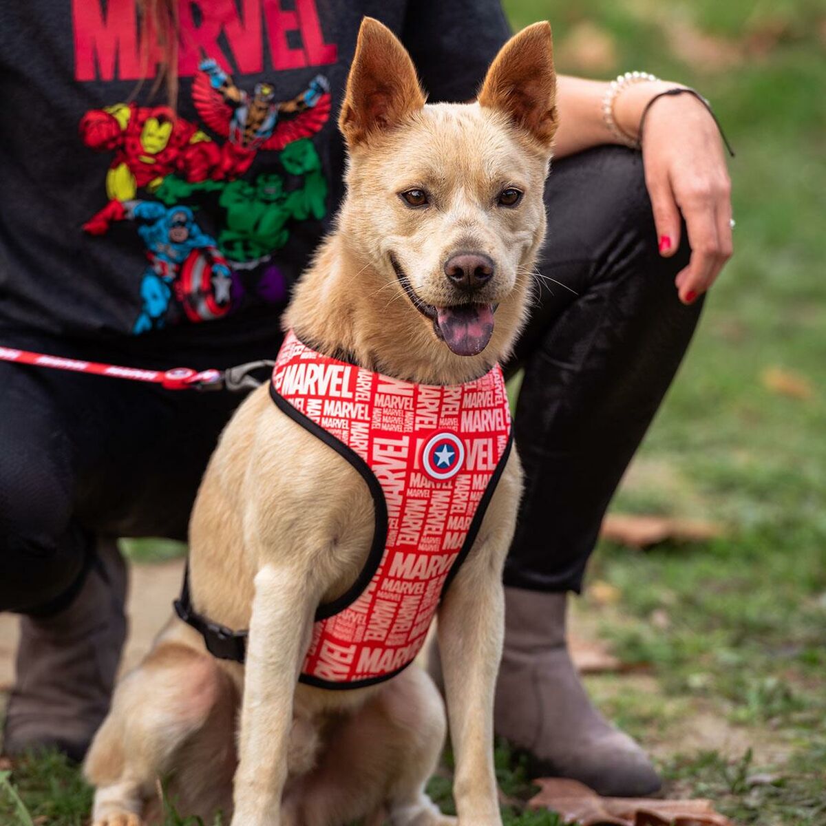 Hundsele Marvel M/L