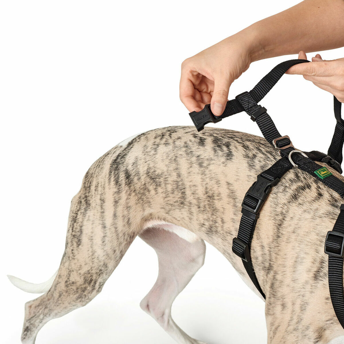 Hundesele Hunter Sort L M/L