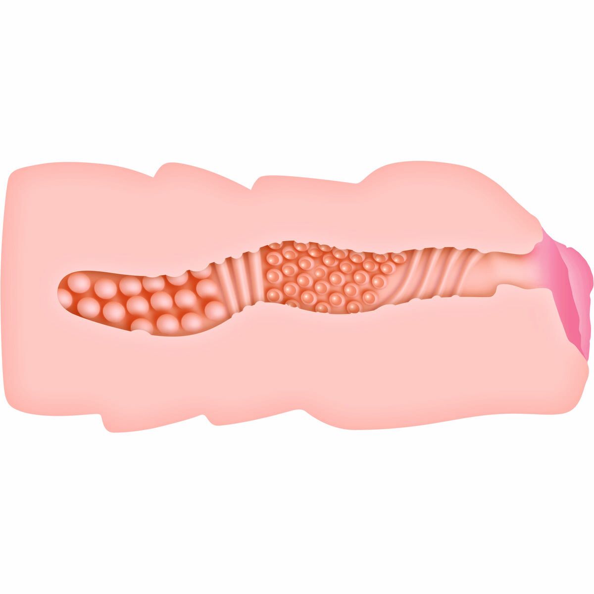 Rezistență Jack Ass Zero Tolerance Zero Tolerance Carne