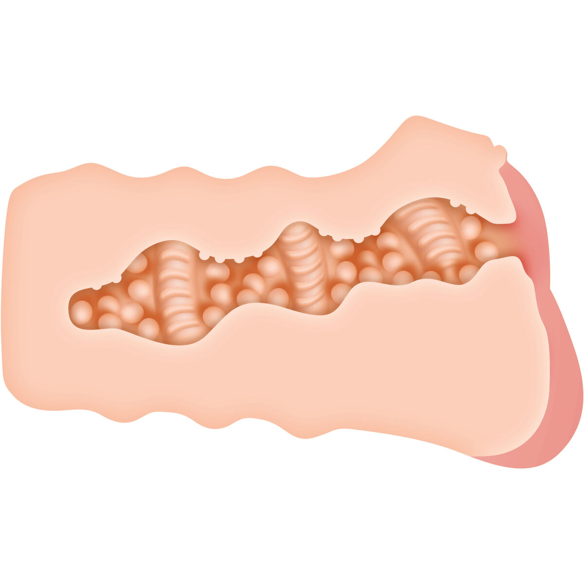 Rezistență Jack Ass Zero Tolerance Zero Tolerance Carne