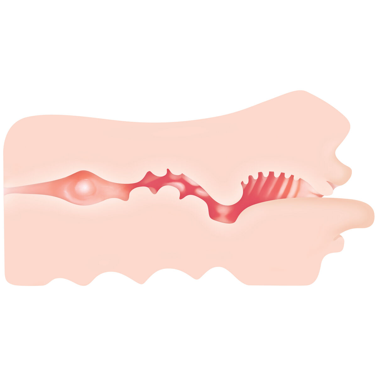 Rezistență Jack Ass Zero Tolerance Zero Tolerance Carne