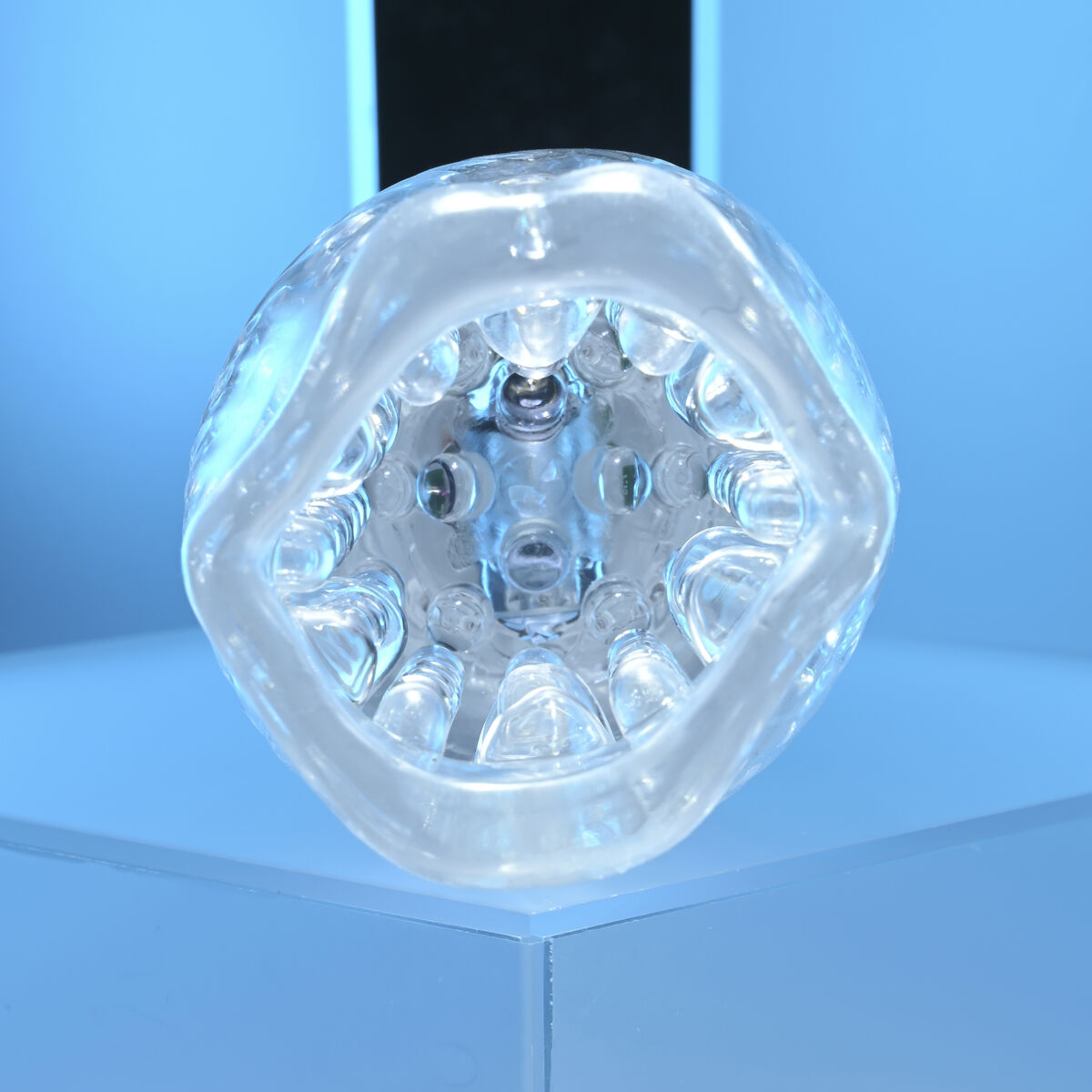 Vortex Dame Rose Zero Tolerance Zero Tolerance