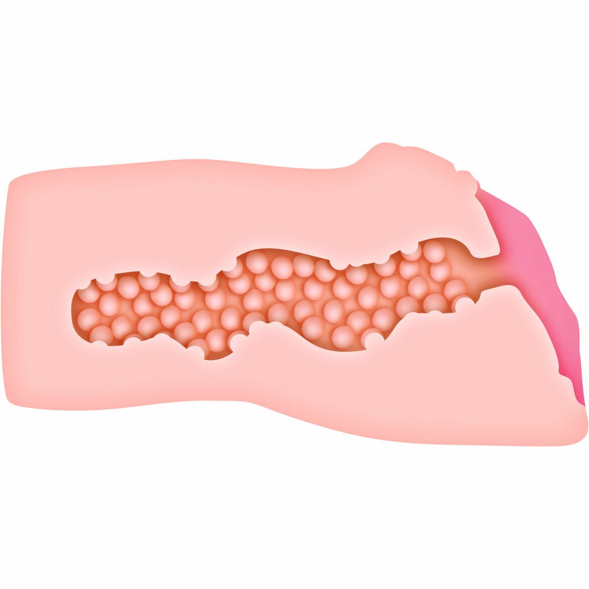 Rezistență Jack Ass Zero Tolerance Zero Tolerance Carne