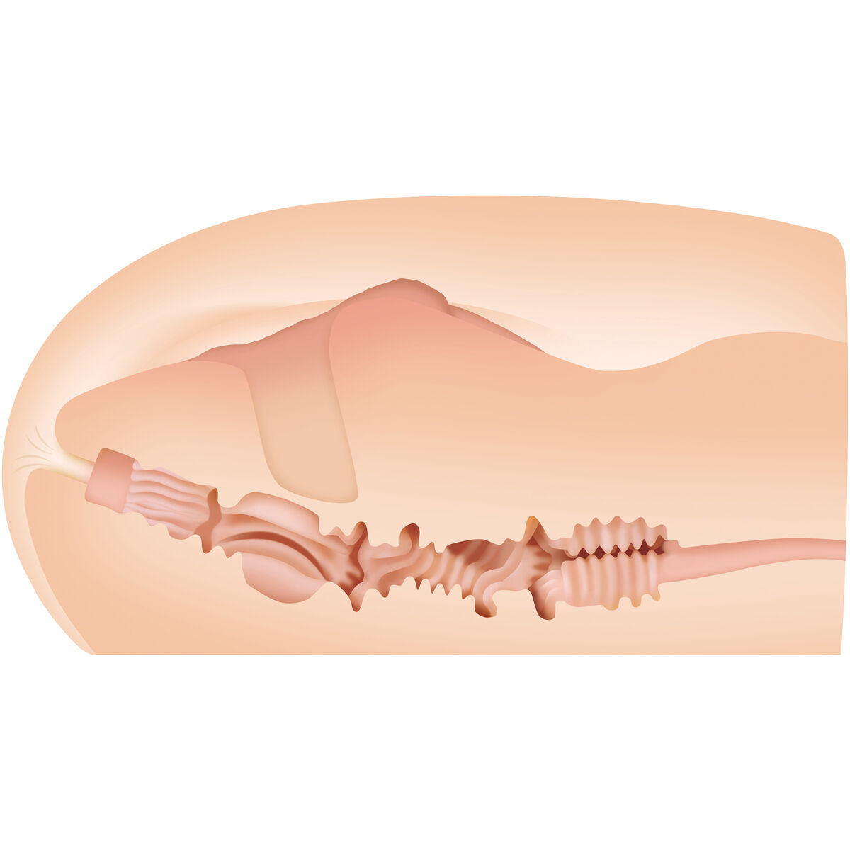 Rezistență Jack Ass Zero Tolerance Zero Tolerance Carne