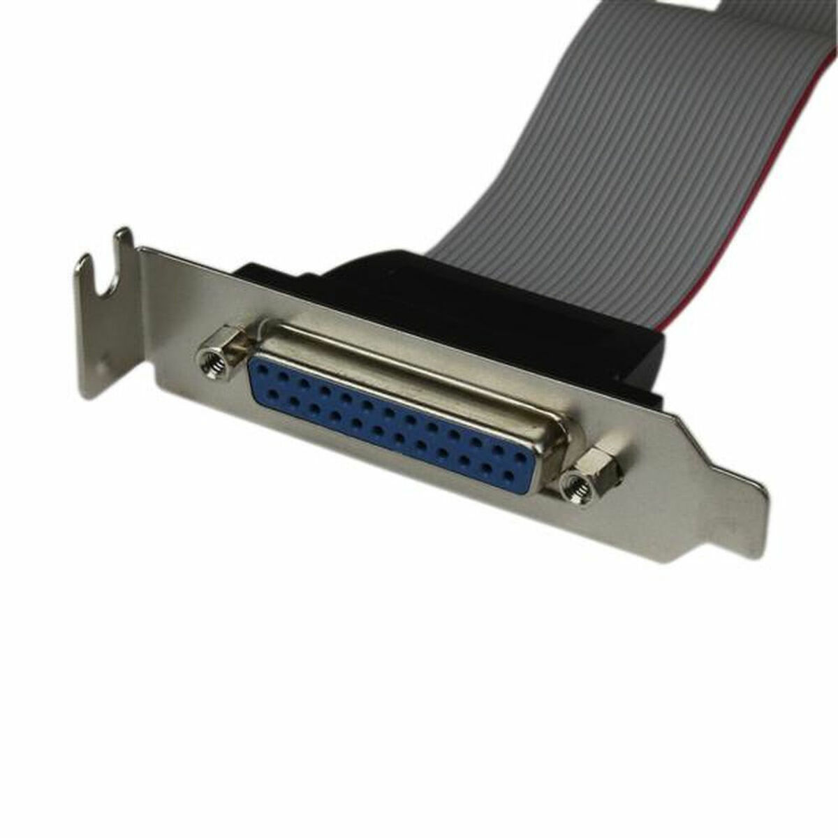 Adapteri Startech PLATE25F16LP