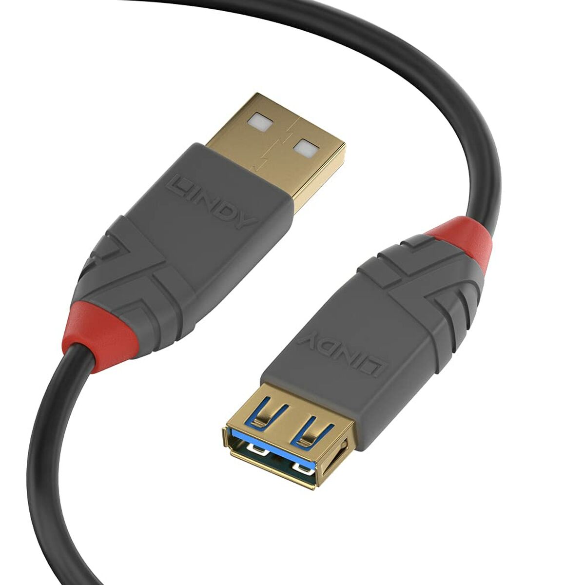 USB-kabel LINDY Sort 50 cm