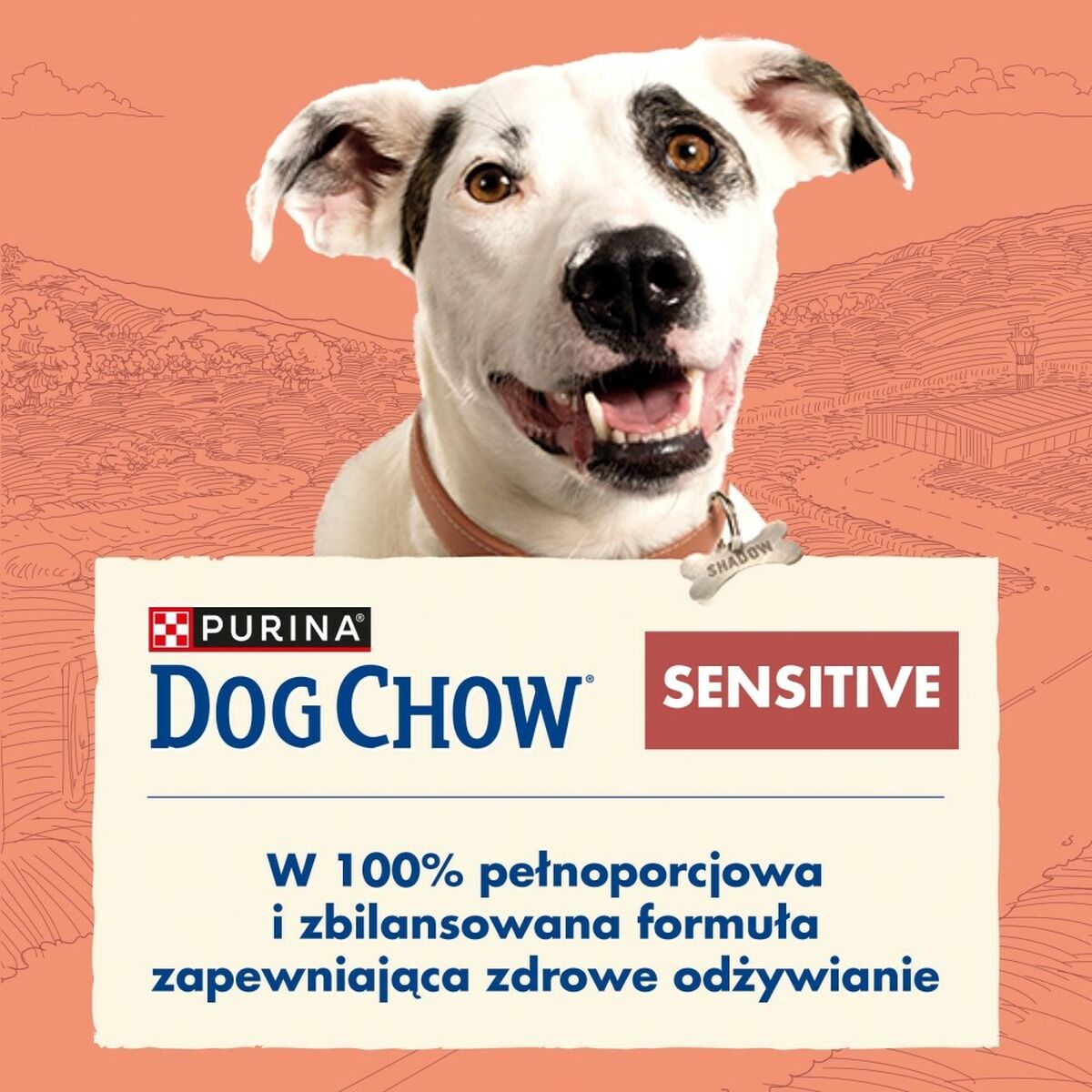 Foder Purina Sensitive Salmon Lax 16,5 kg