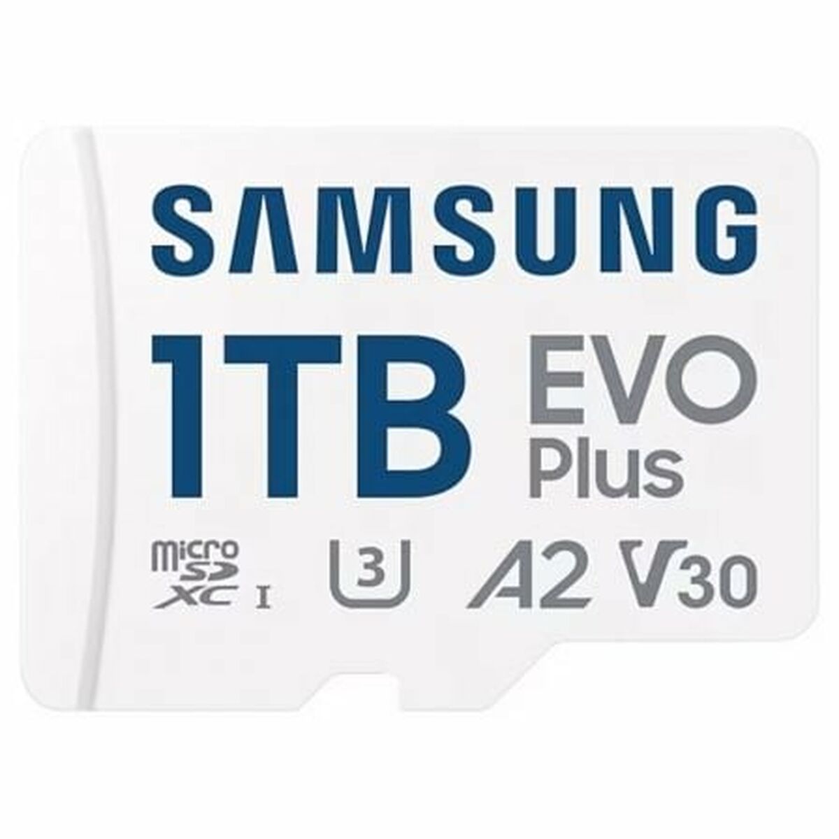 Scheda Micro SD Samsung 1 TB