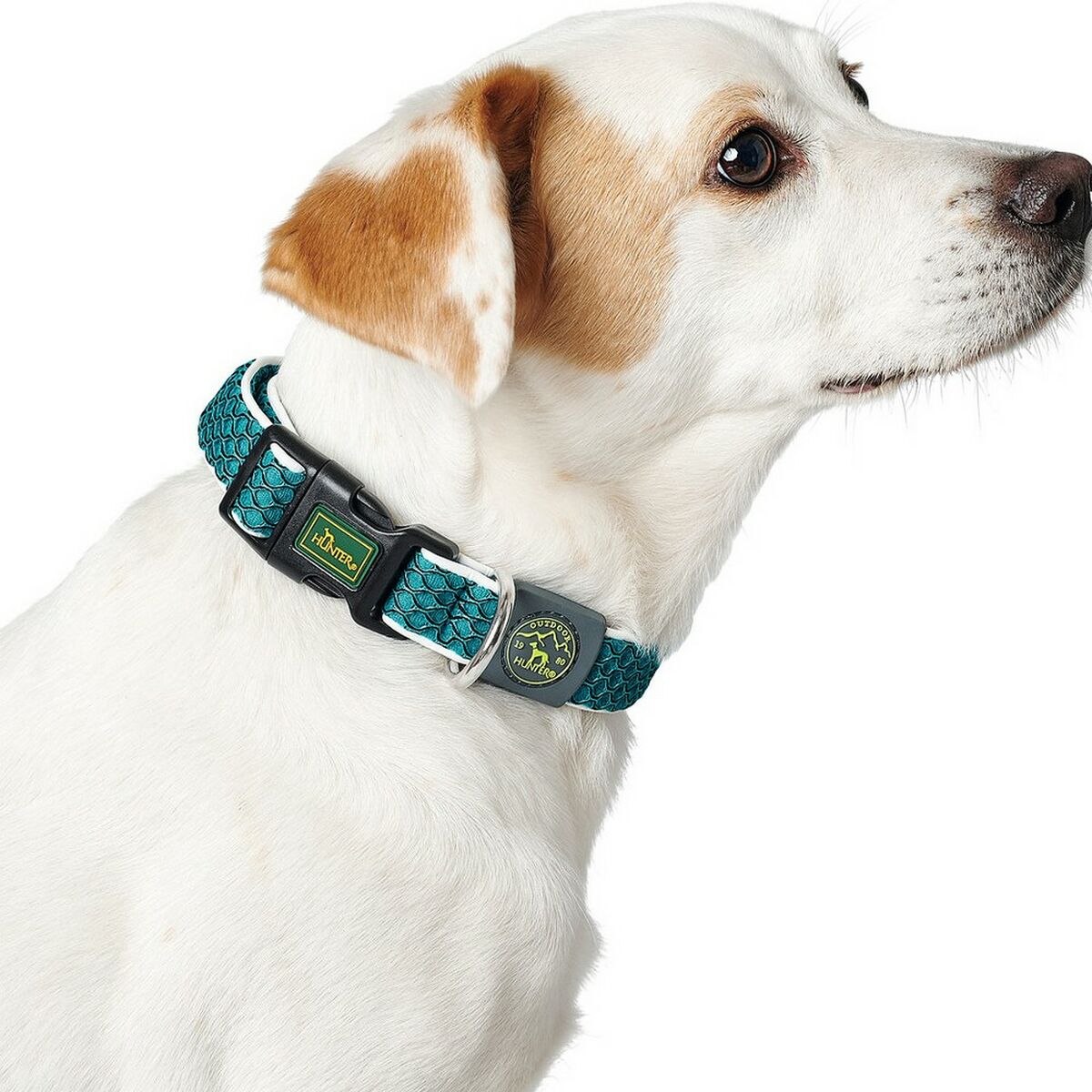 Dog collar Hunter Basic Brown M 33-50 cm Thread