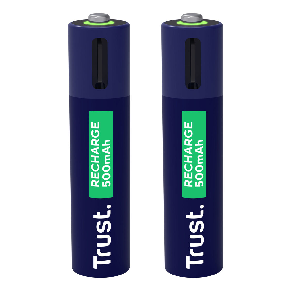 Batteries Trust 25585 AAA