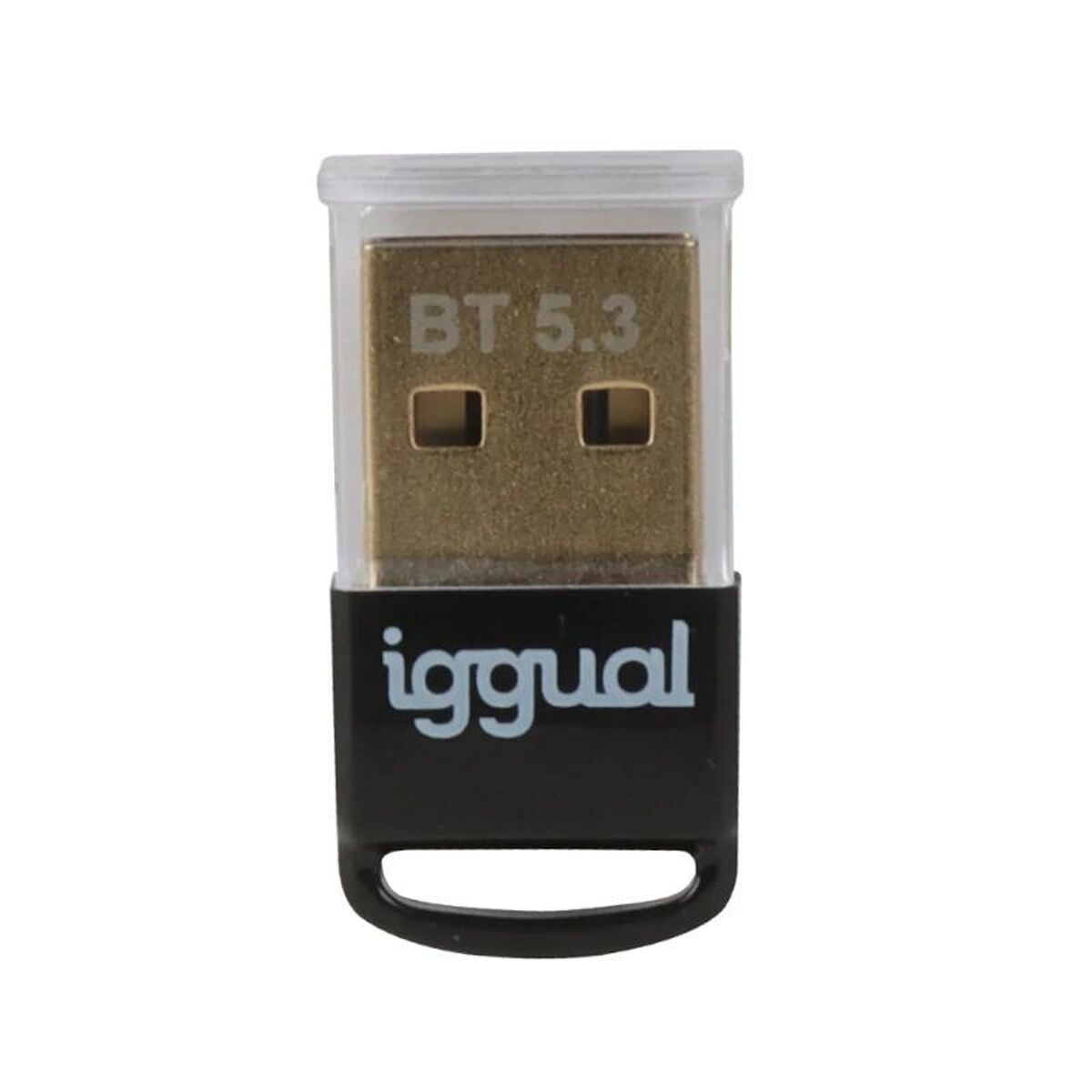 Adapter Bluetooth iggual IGG319383