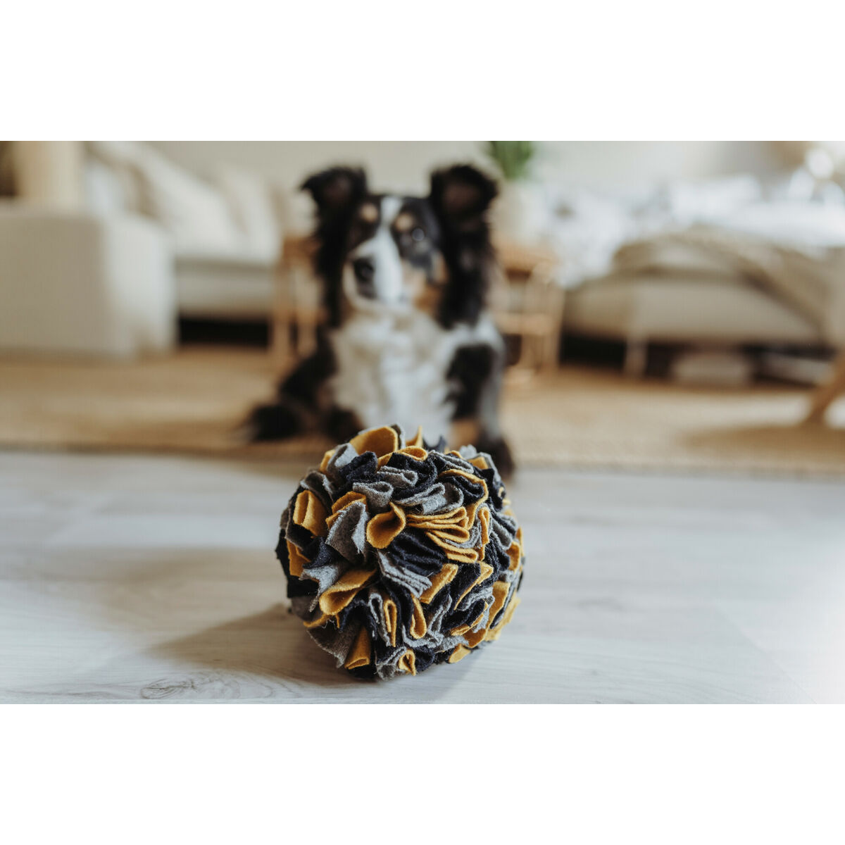 Pseća igračka Hunter