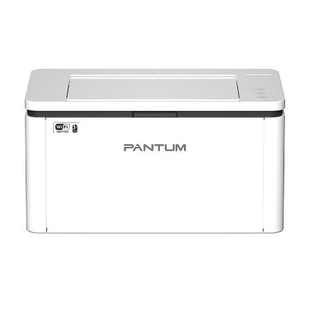 Monochrome Laserprinter Pantum