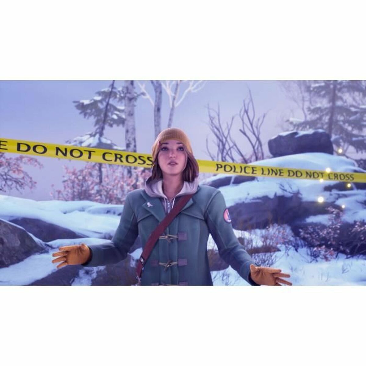 Videospil til Switch Square Enix Double Exposure