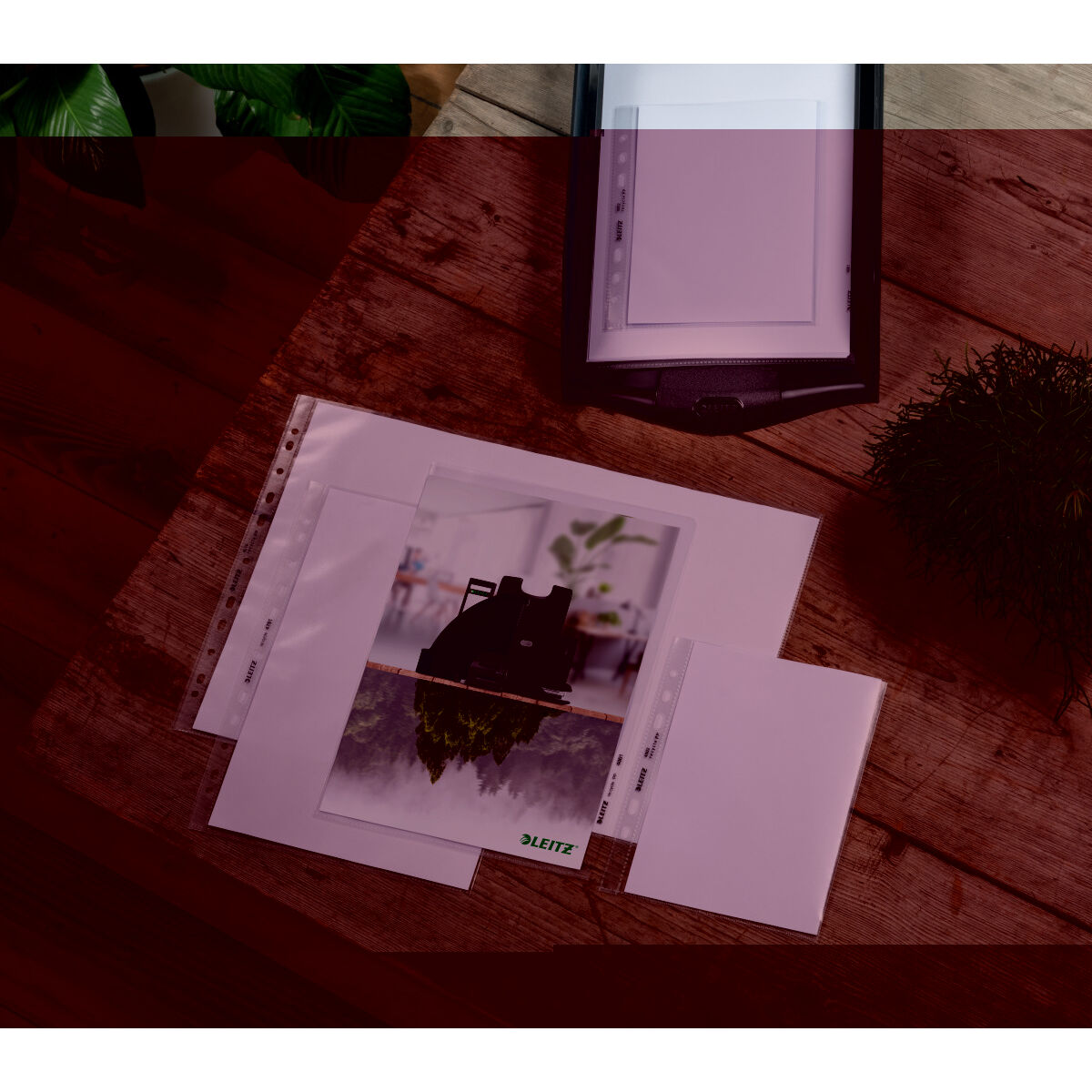 Covers Leitz Black Transparent polypropylene Plastic