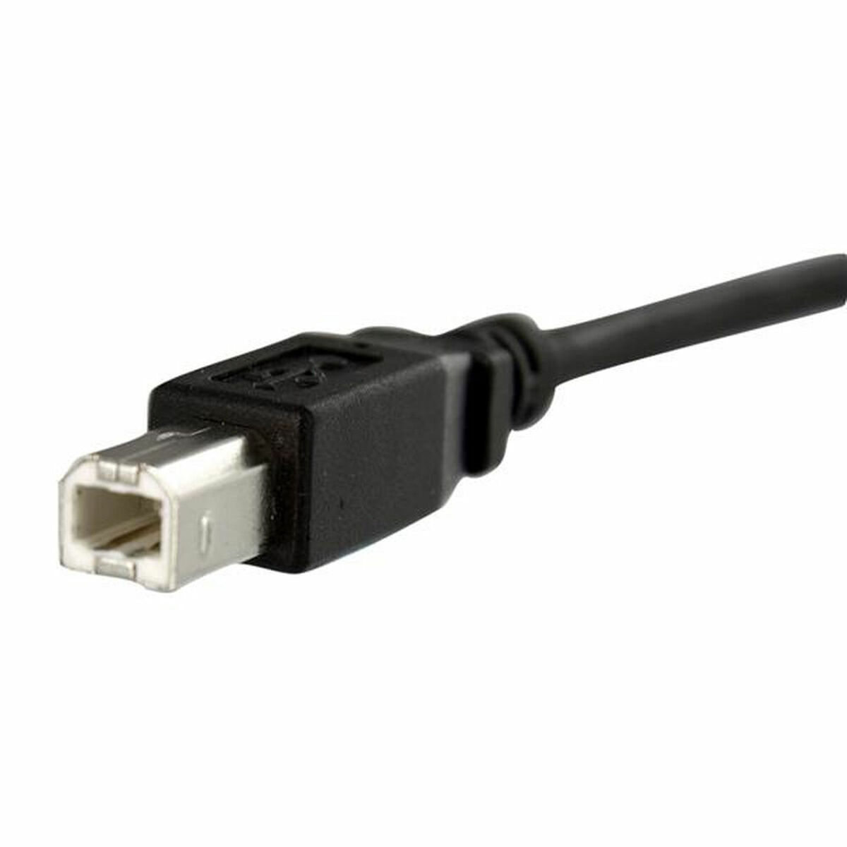 Cavo USB Startech USBPNLBFBM1 USB B Nero