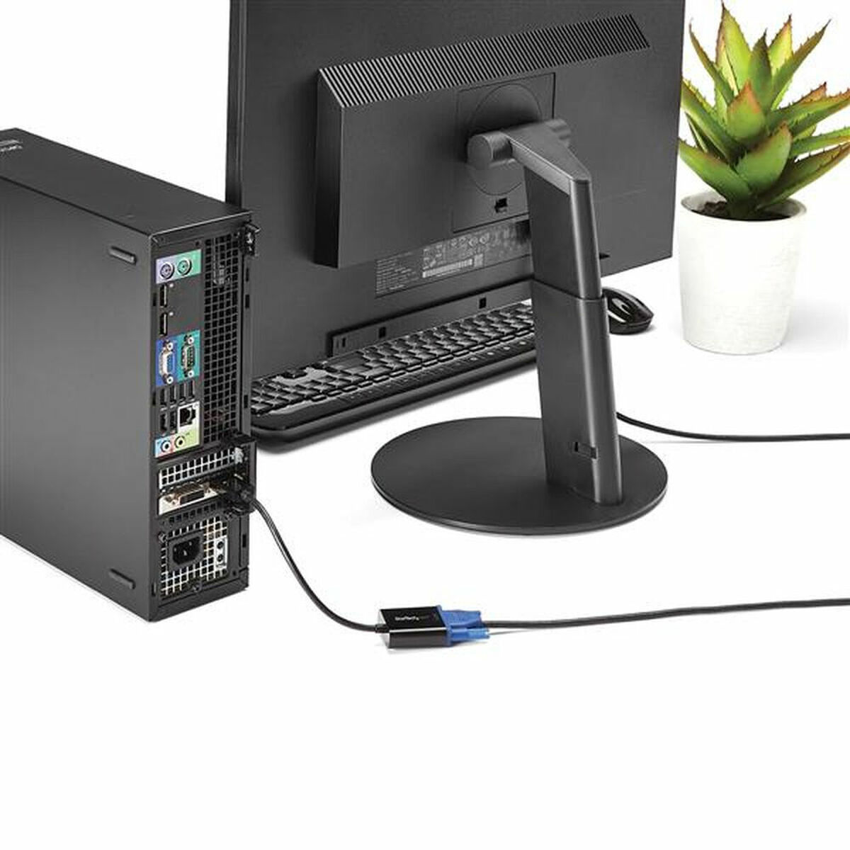 DisplayPort til VGA-adapter Startech DP2VGA3 Svart