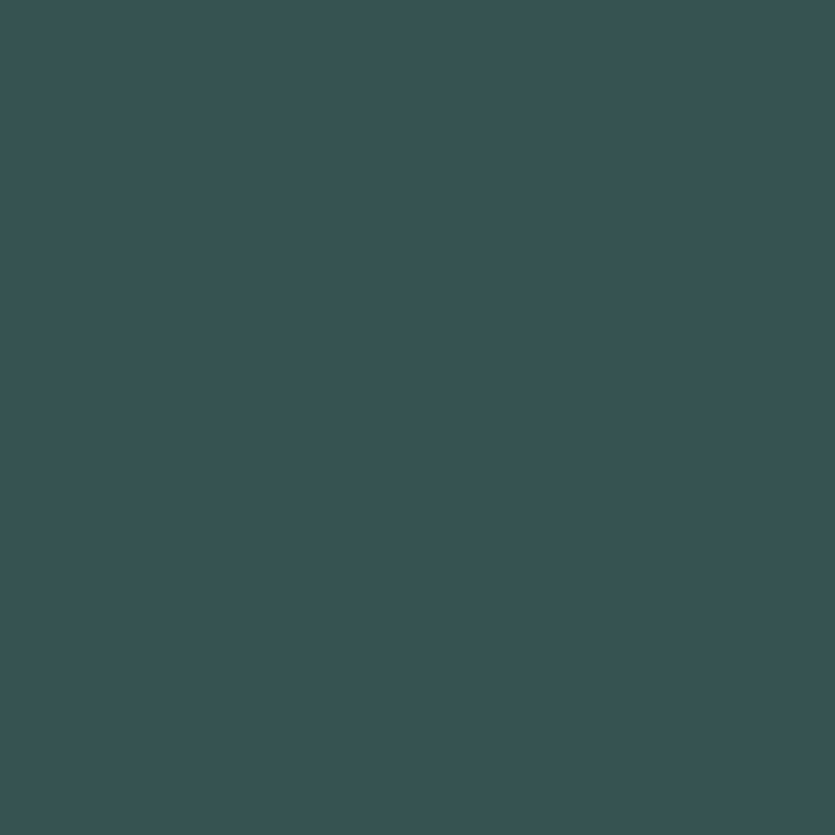 Primer Paint Ripolin Vert Matt