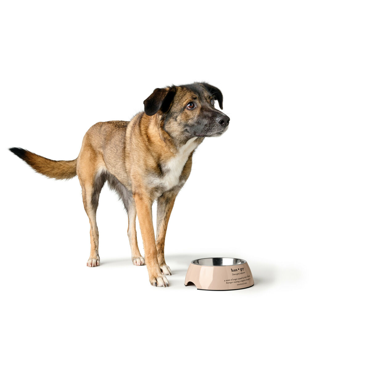 Hund Feeder Hunter LUTON 350 ml
