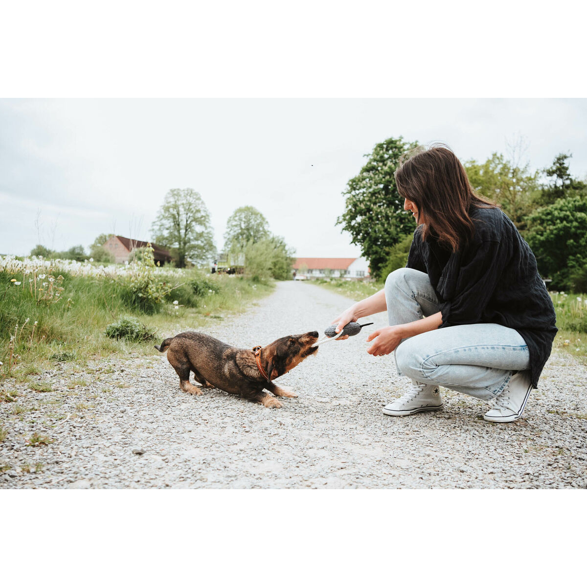 Igrača za pse Hunter Nebraska Rjava Poliester Krava