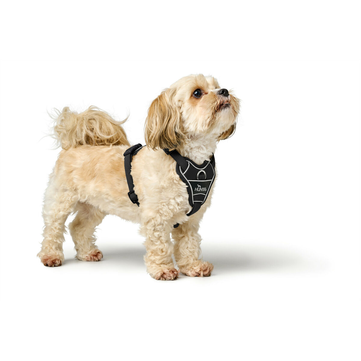 Hundesele Hunter DIVO UP Sort M