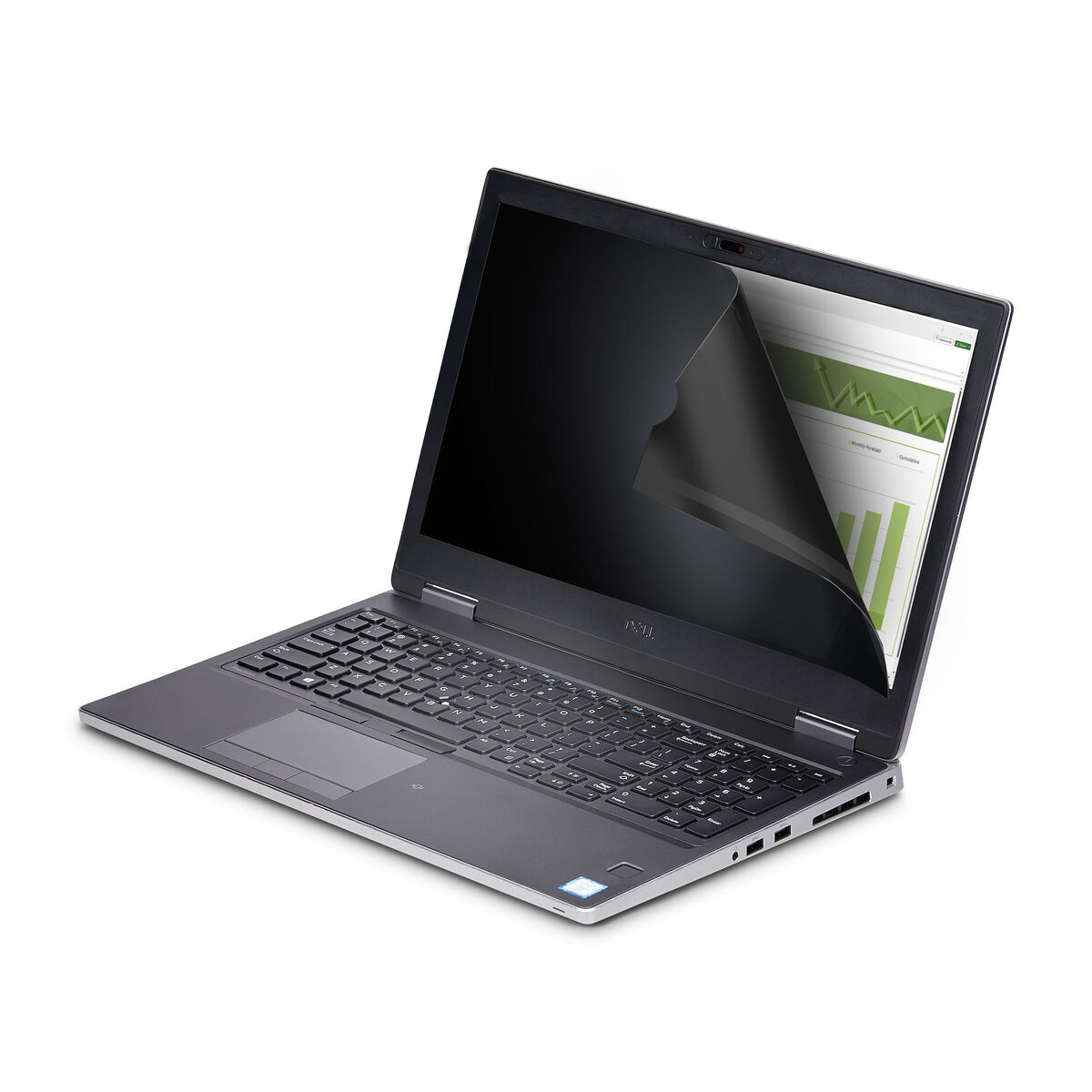 Cabo HDMI Startech 16LT6-PRIVACY-SCREEN Preto