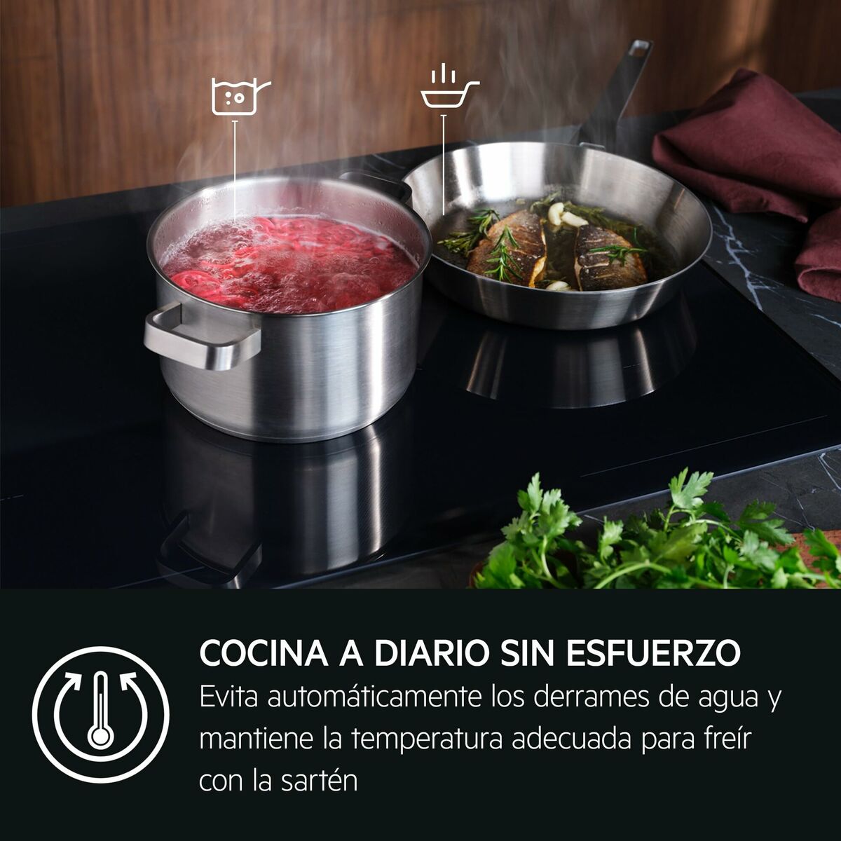 Indukční Plotýnka AEG