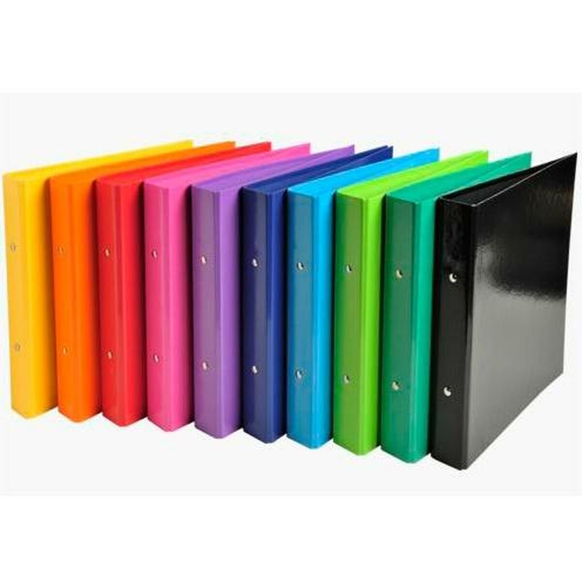 Ringmap Exacompta Multicolour A5 (10 Stuks)