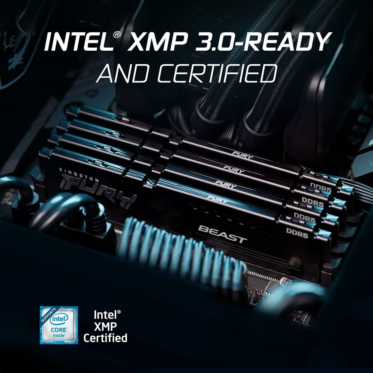 RAM Speicher Kingston KF560C30BBEK2-64 64 GB DDR5 SDRAM DDR5 cl30