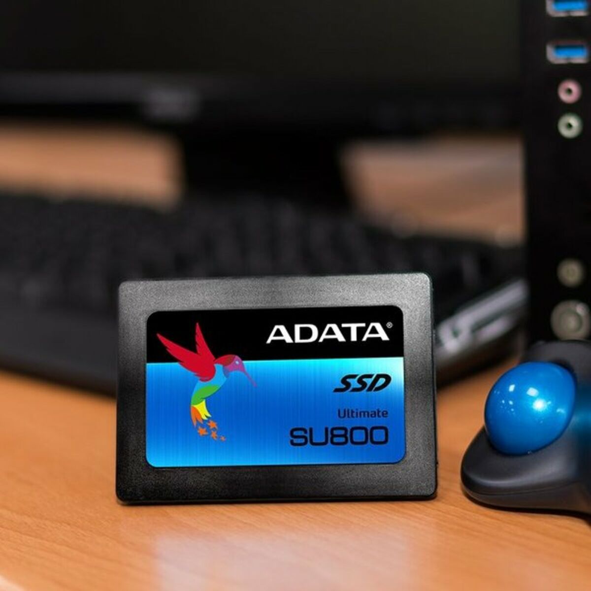 Harddisk Adata Ultimate SU800 256 GB SSD