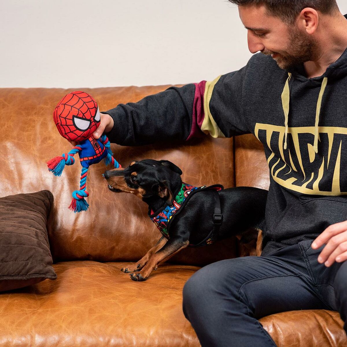 Igrača za pse Spider-Man Rdeča