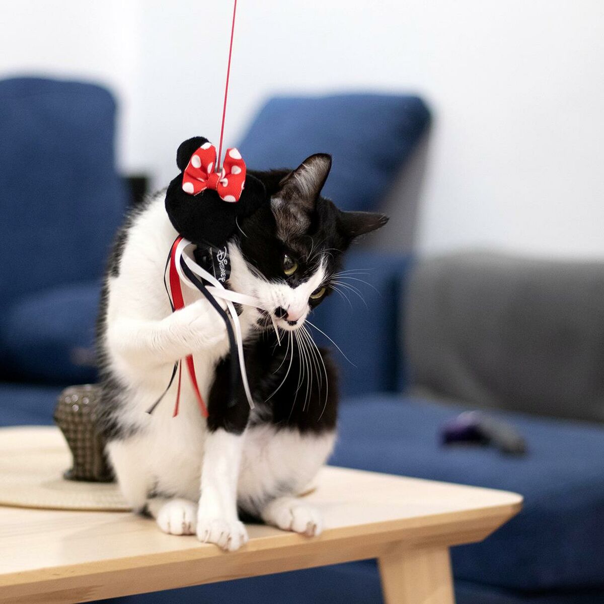 Legetøj til katte Minnie Mouse Sort