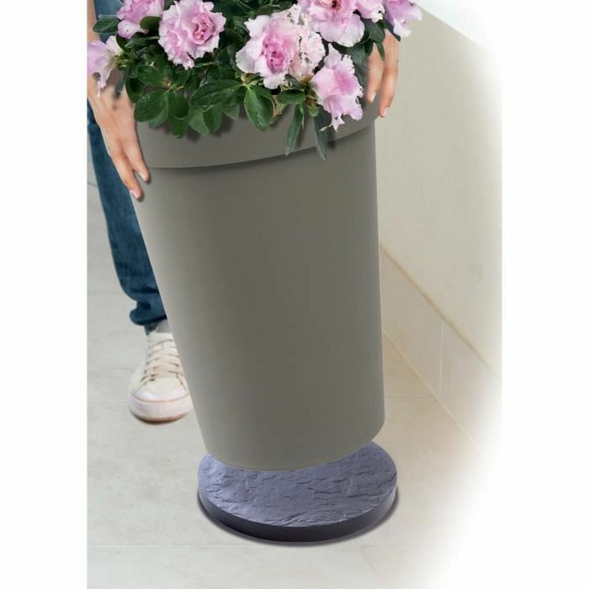Suporte com Rodas para Vasos EDA