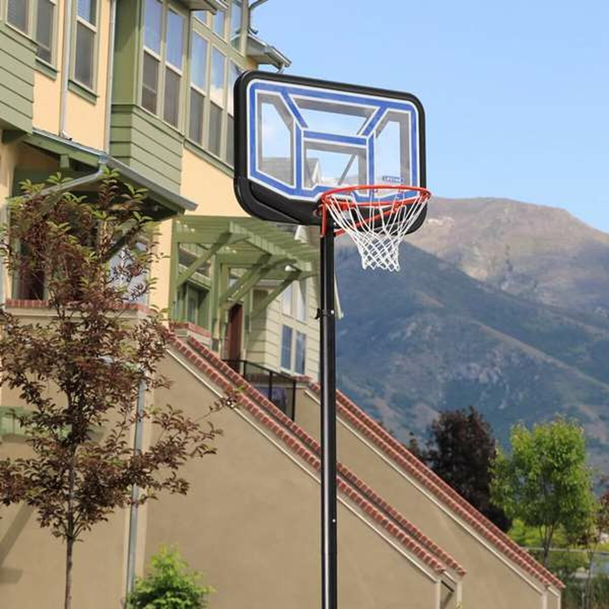 Basketkorg Lifetime