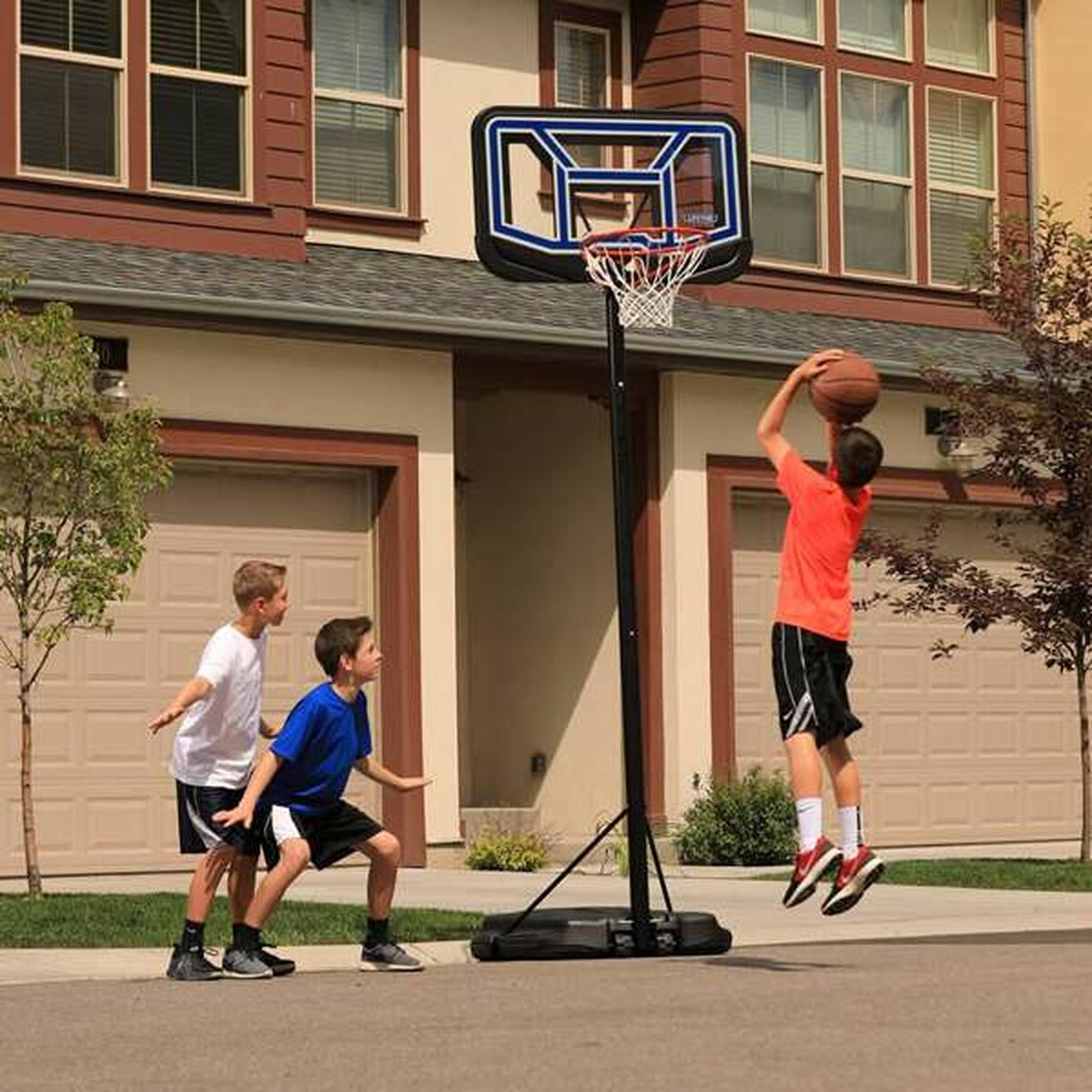 Panier de Basket Lifetime