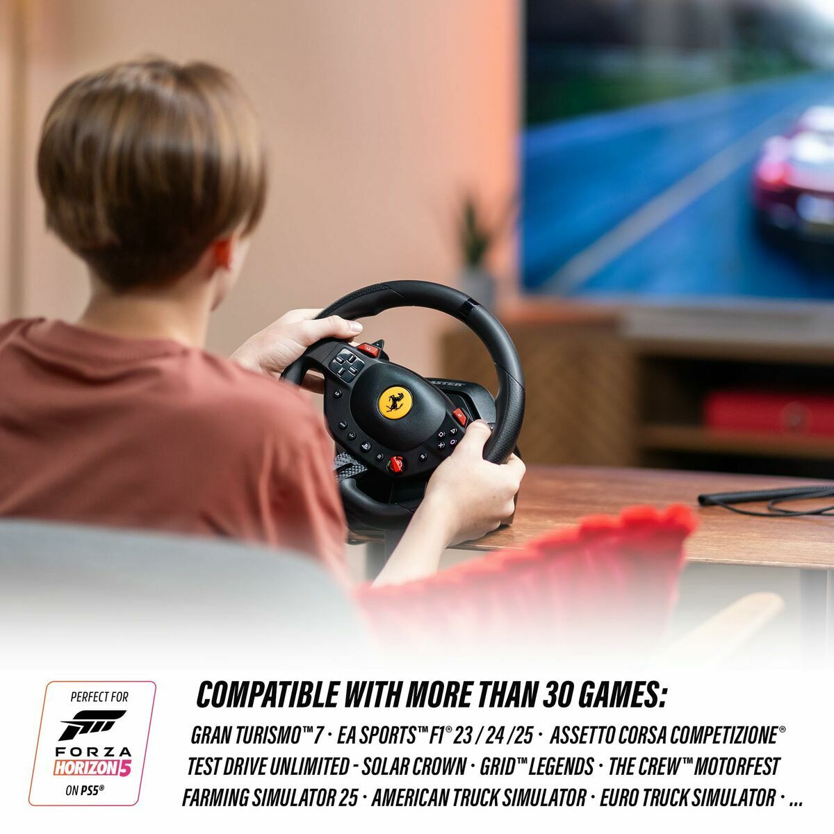 Spillkontroll Thrustmaster 4160880