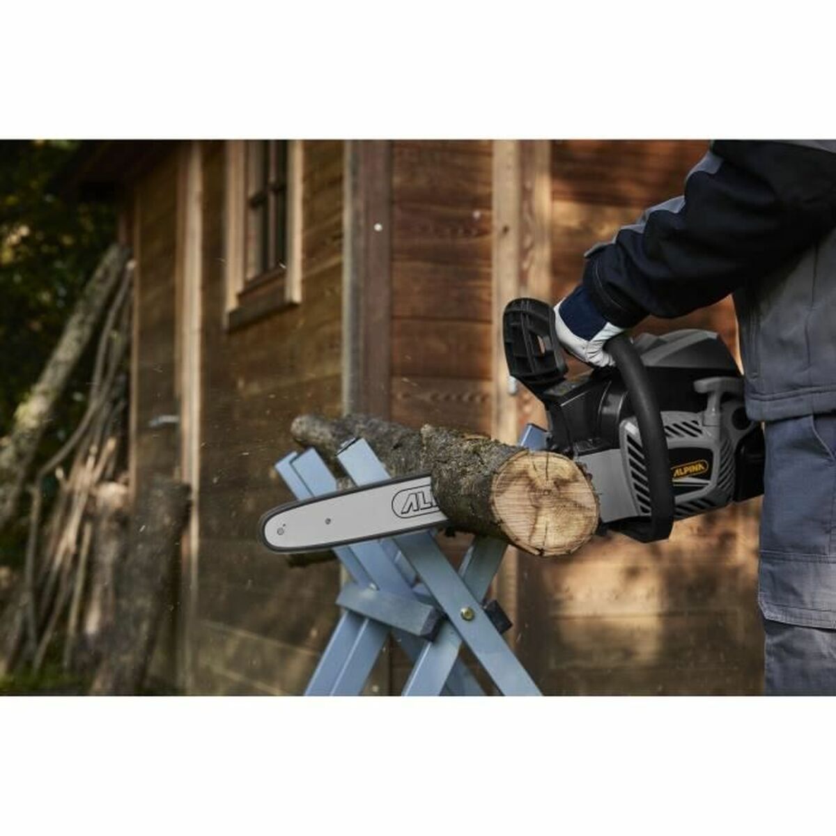 Drujbă Alpina