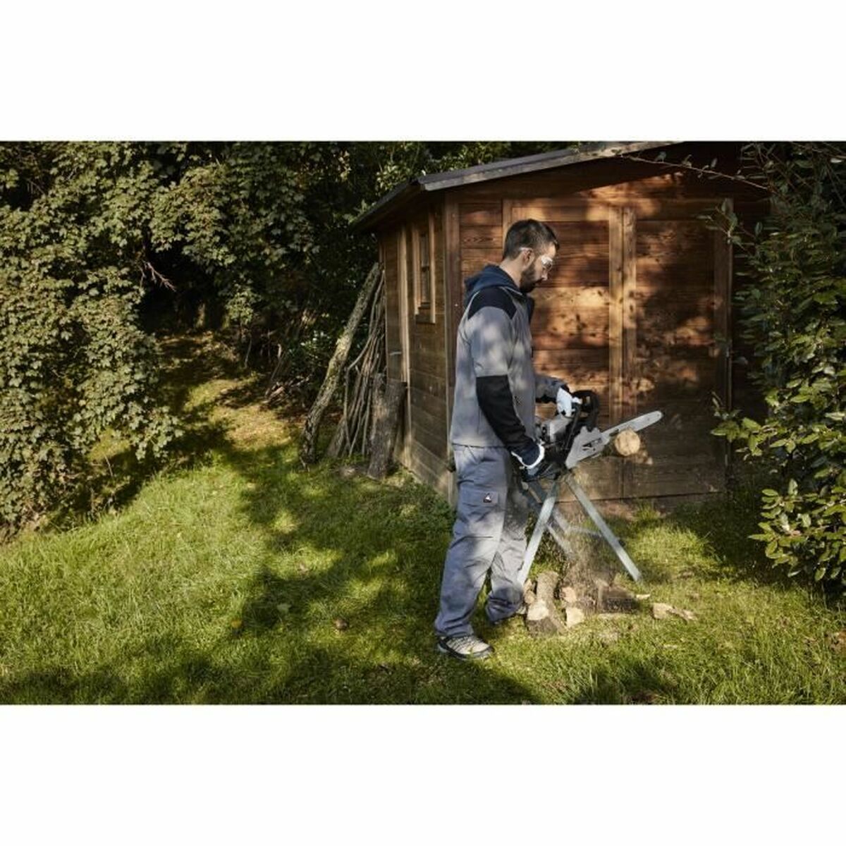 Chainsaw Alpina