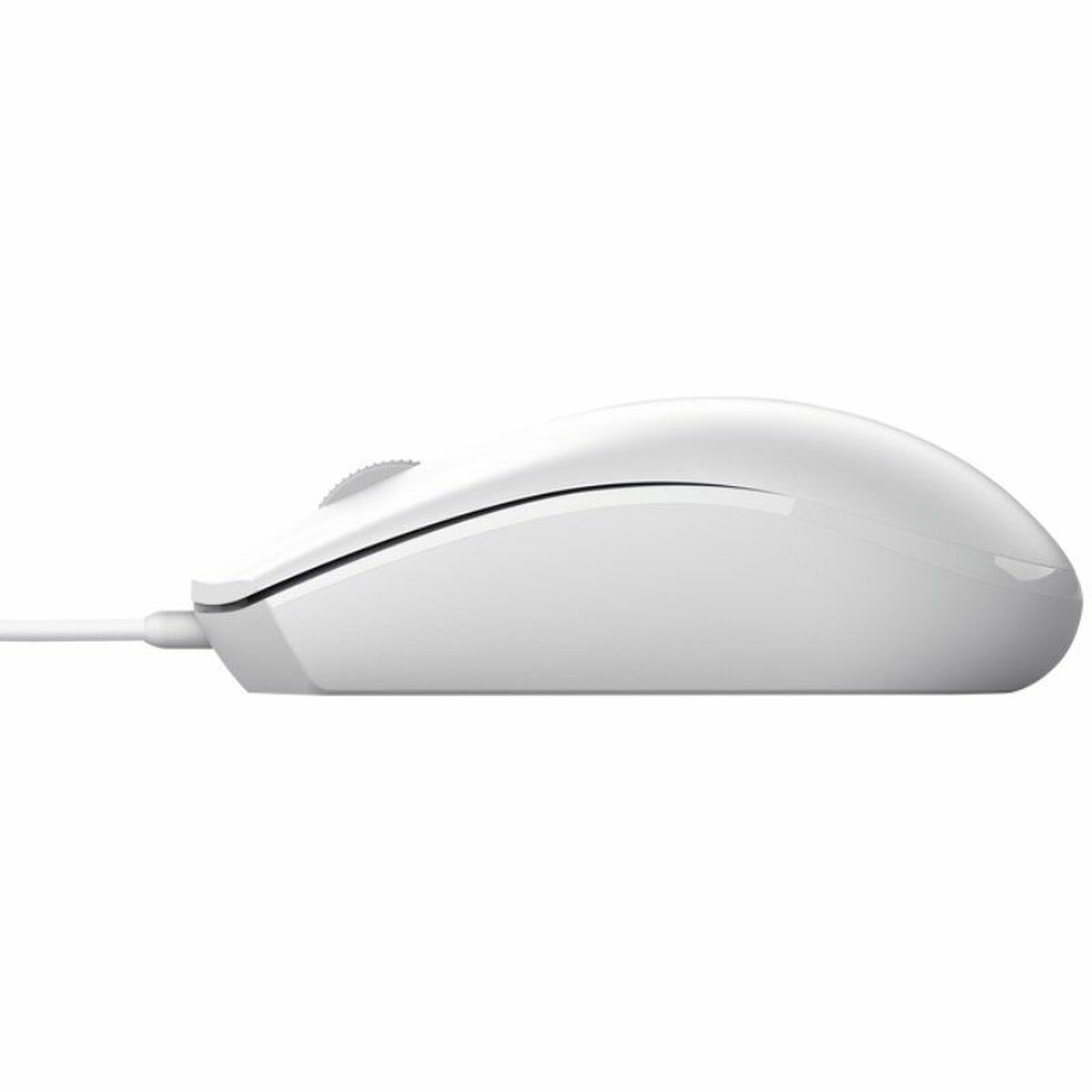 Pelė Trust TM-101 Balta