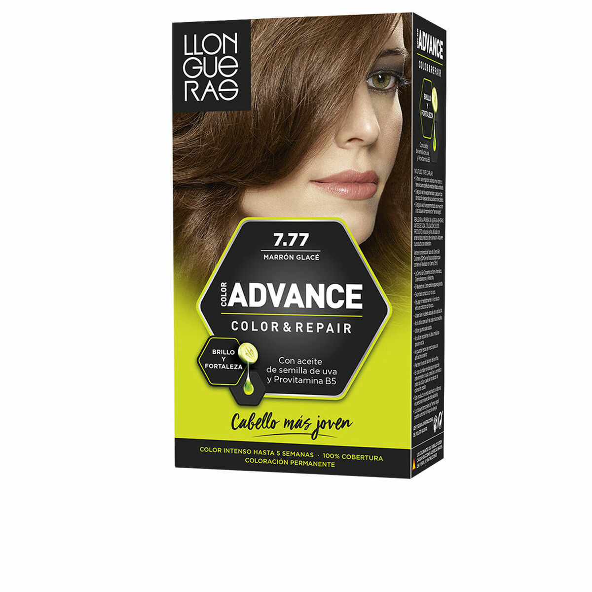 Permanent Farve Llongueras