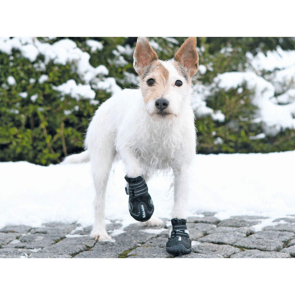 Stiefel Trixie Schwarz