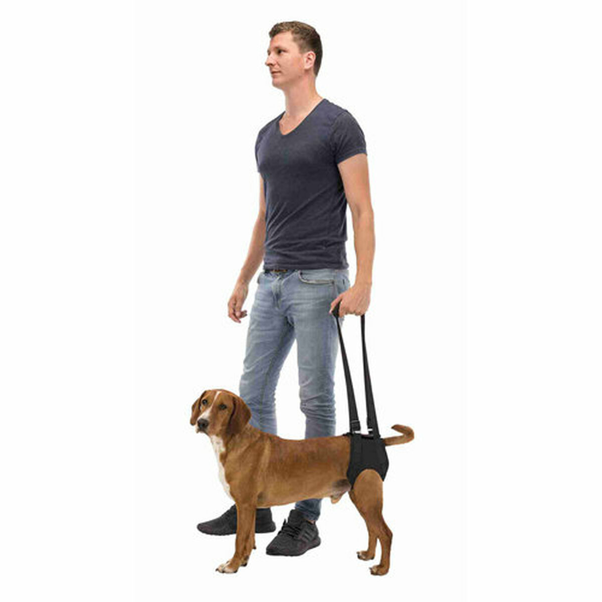 Promeneur de chiens Trixie