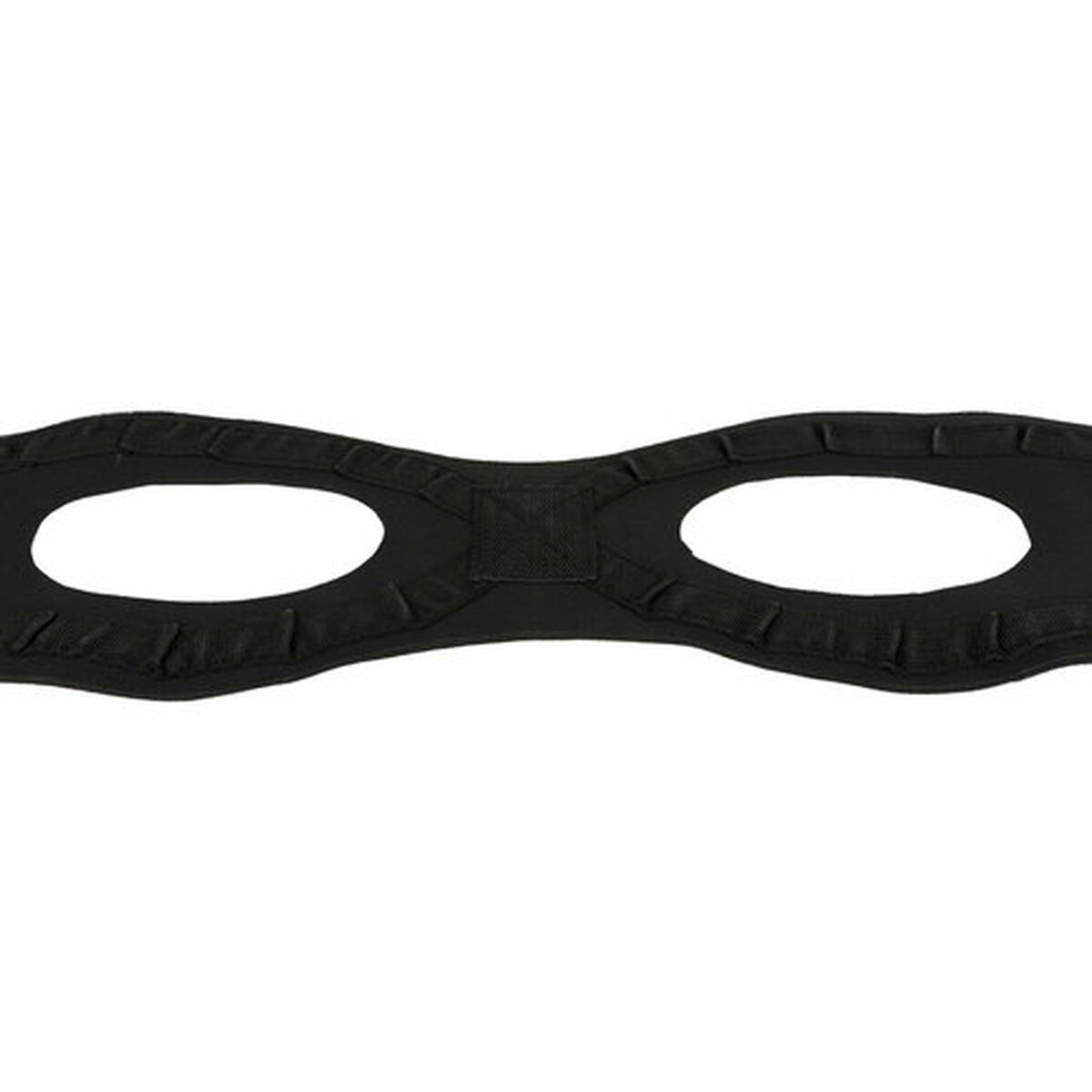 Suņu pastaigu vedējs Trixie