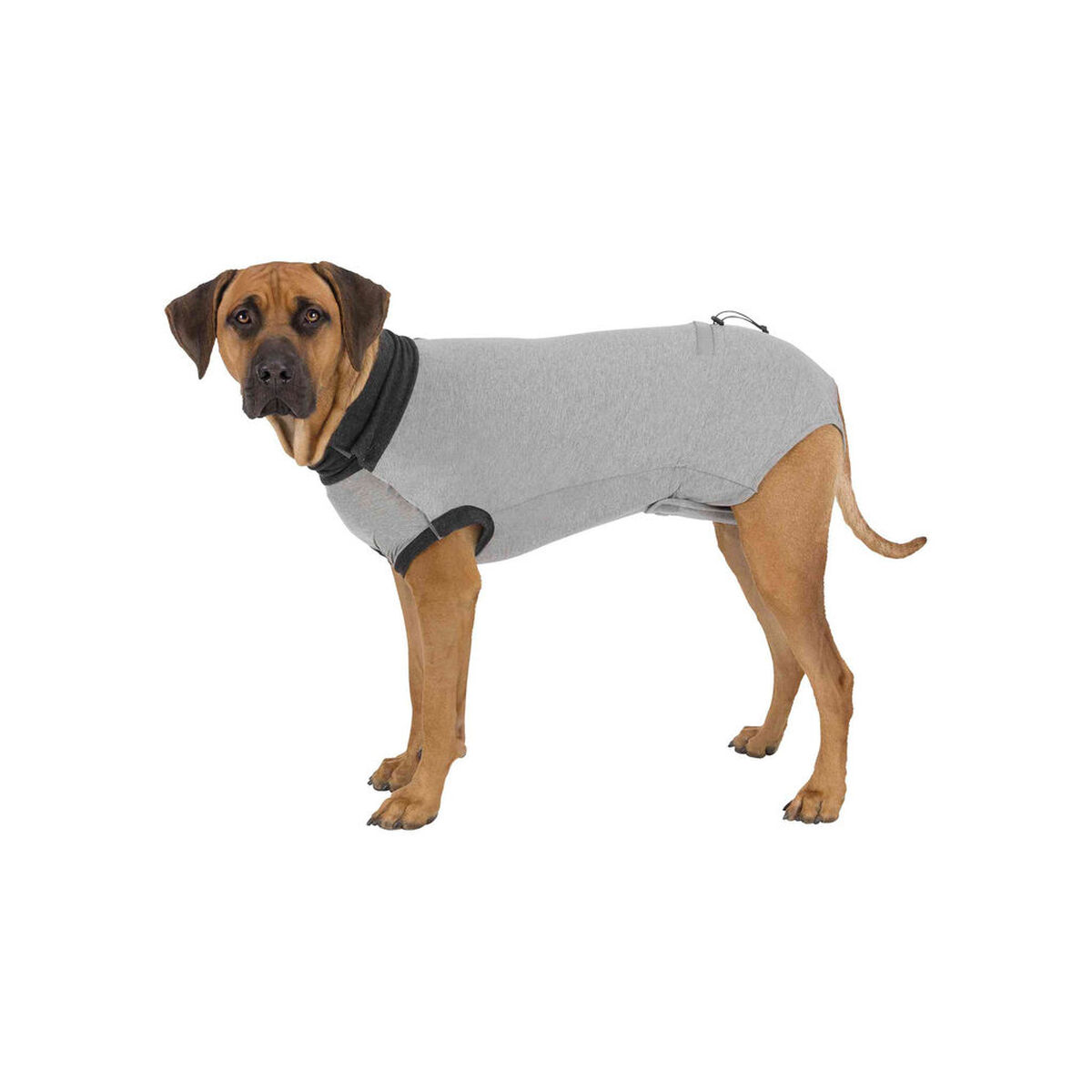 Protector de corp pentru câini Trixie