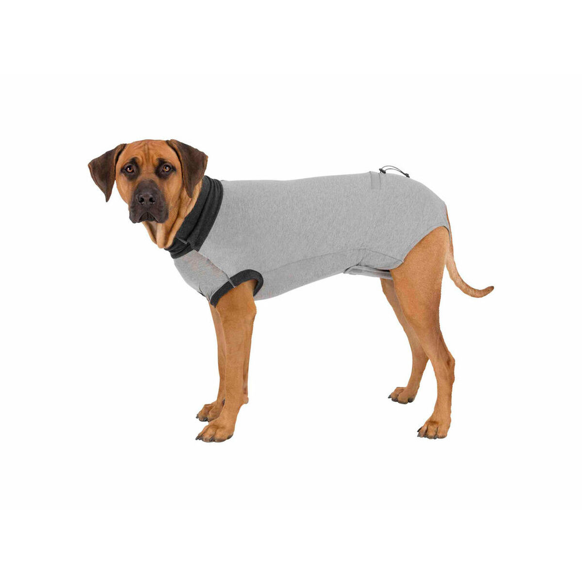 Protector de corp pentru câini Trixie