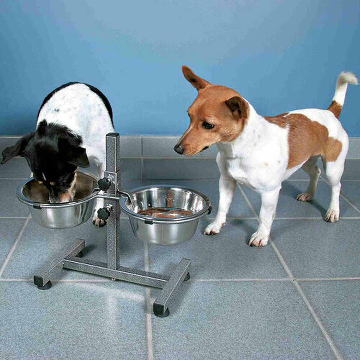 Hund Feeder Trixie