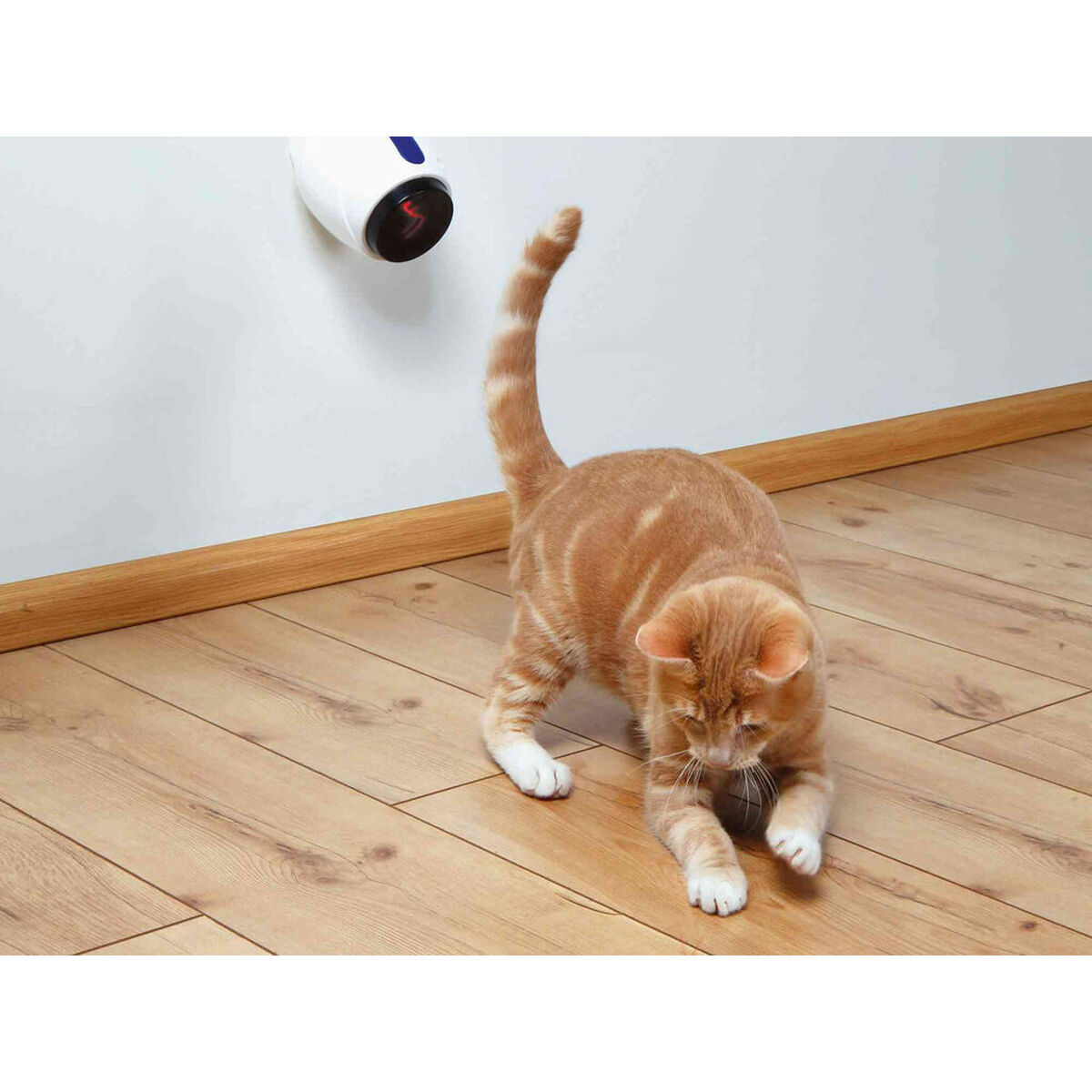 Laserpointer Trixie